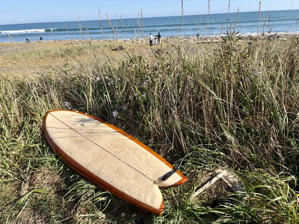 海辺の草地に置いたサーフボード
